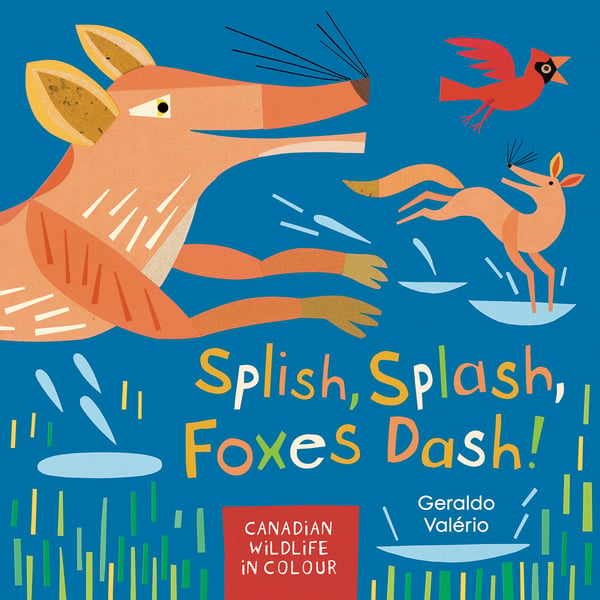 Splish, Splash, Foxes Dash! Canadian Wildlife In Color