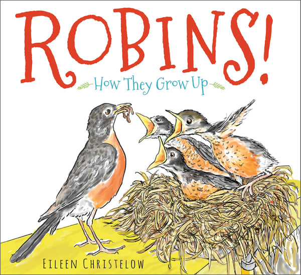 Robins! How They Grow Up