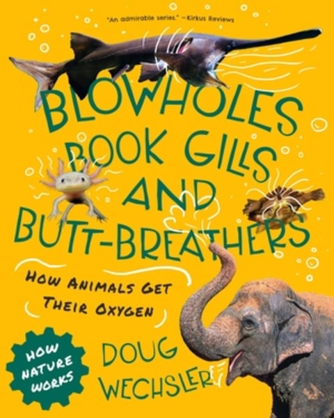 Blowholes, Book Gills, And Butt-Breathers: The Strange Ways Animals Get Oxygen