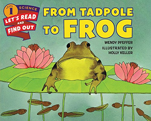 From Tadpole To Frog