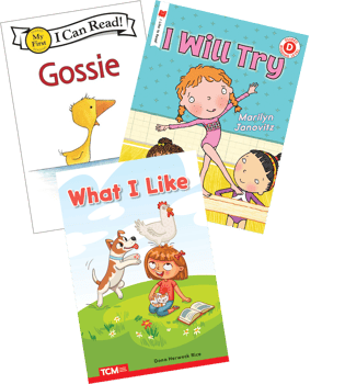 Level D Fiction Best Sellers