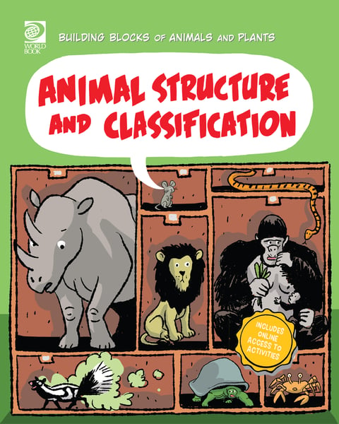 Animal Structure And Classification
