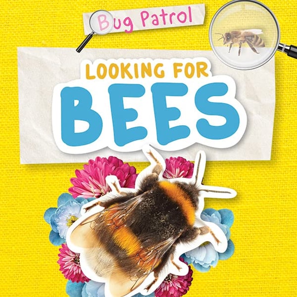 Looking For Bees