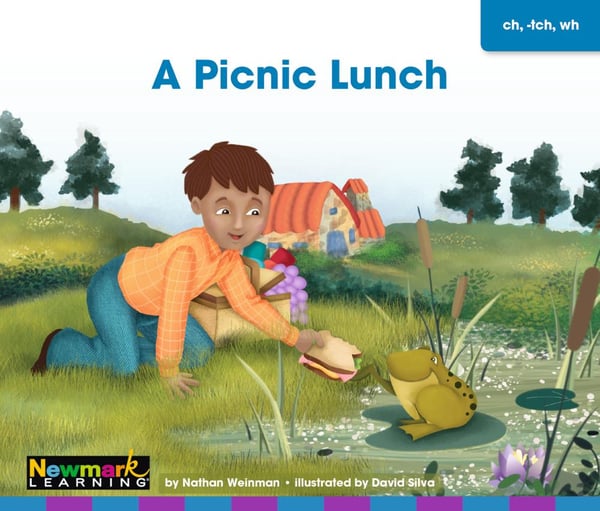 Picnic Lunch, A