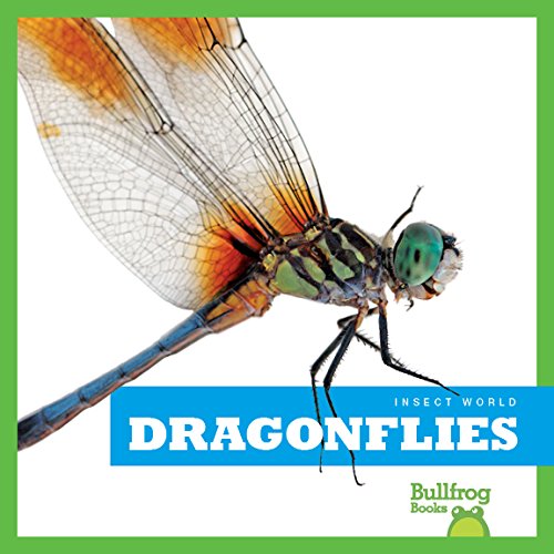Dragonflies