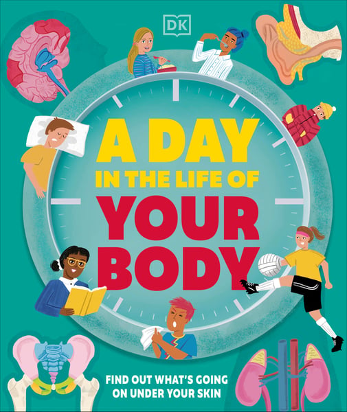 Day In The Life Of Your Body, A