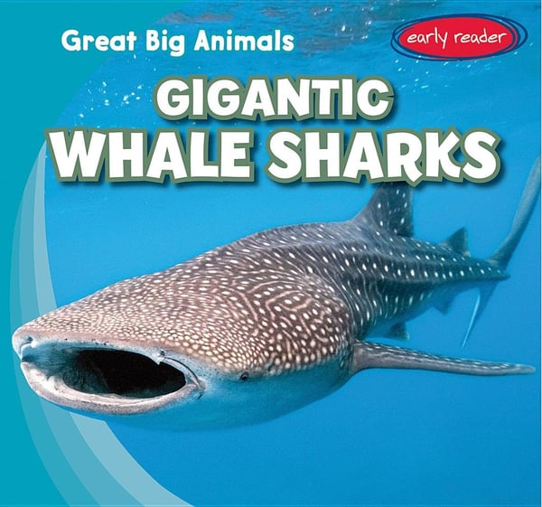 Gigantic Whale Sharks