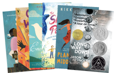 Poetry & Novels In Verse