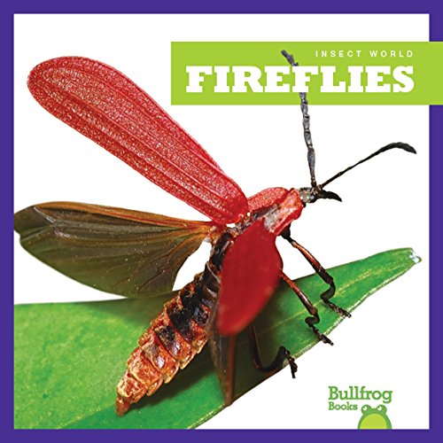 Fireflies
