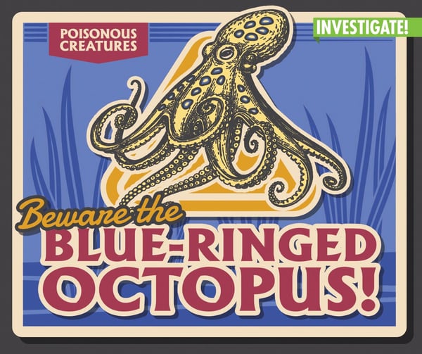 Beware The Blue-Ringed Octopus!