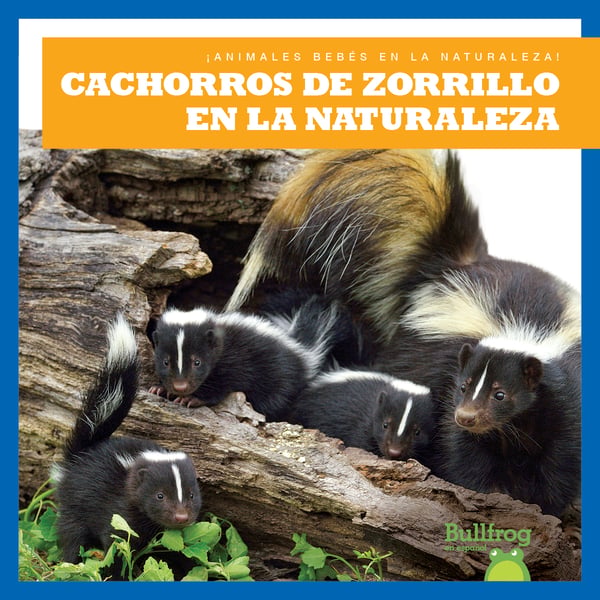 Cachorros De Zorrillo En La Naturaleza (Skunk Kits In The Wild)