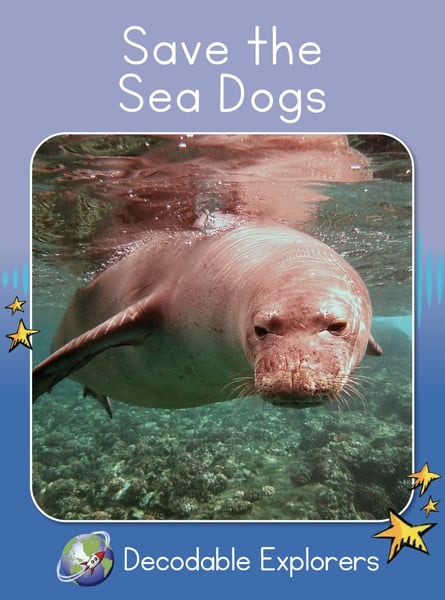 Save The Sea Dogs