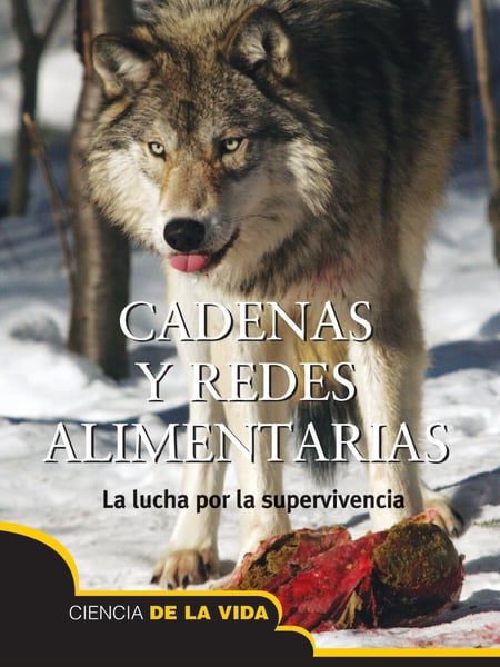 Cadenas Y Redes Alimentarias (Food Chains And Webs)