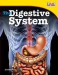 Digestive System, The