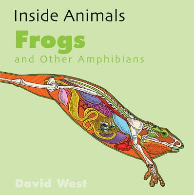 Frogs And Other Amphibians