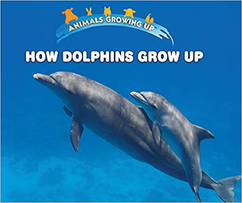 How Dolphins Grow Up
