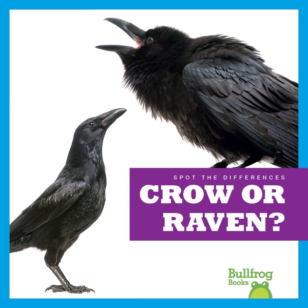 Crow Or Raven?