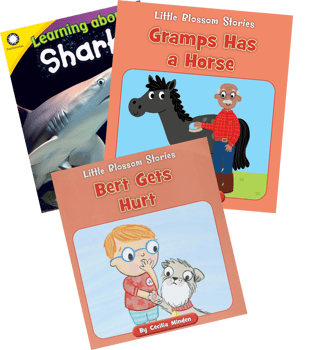 Phonics R-controlled Vowels