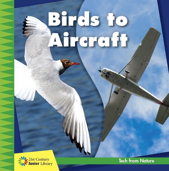 Birds To Aircraft