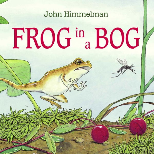 Frog In A Bog