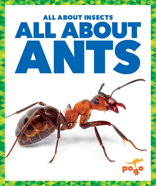 All About Ants