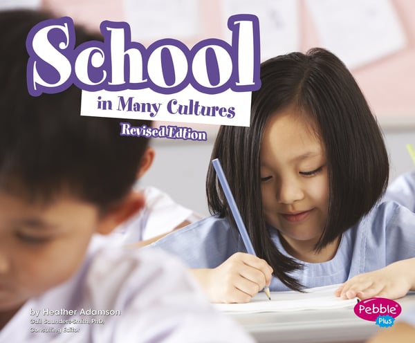 School In Many Cultures