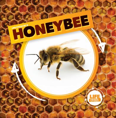Life Cycle Of A Honeybee