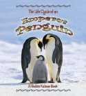 Life Cycle Of An Emperor Penguin, The