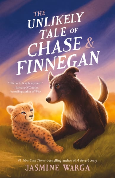 Unlikely Tale Of Chase And Finnegan, The