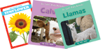 Informational Science (A-D) Kindergarten