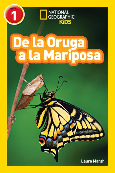 De La Oruga A La Mariposa (Caterpillar To Butterfly)