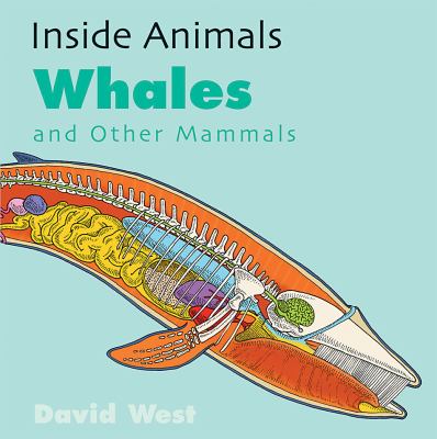 Whales And Other Mammals