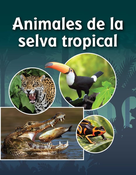 Animales De La Selva Tropical (Animals In A Rainforest)