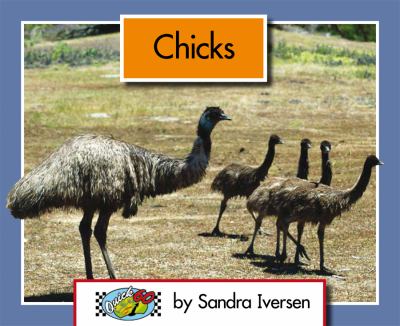 Chicks