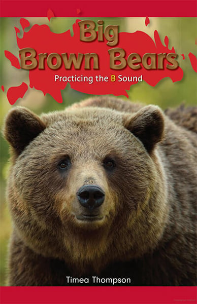Big Brown Bears: Practicing The B Sound