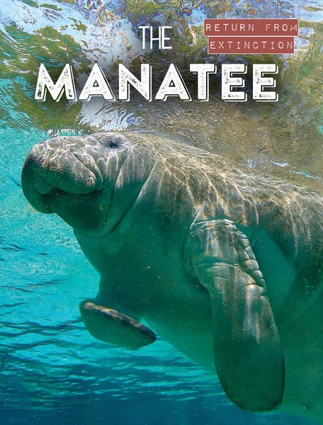Manatee, The