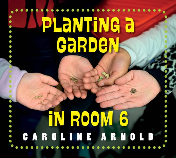 Planting A Garden In Room 6
