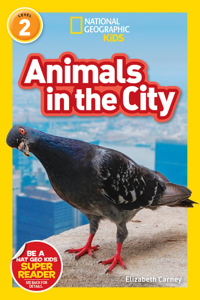 Animals In The City