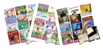 Junior Learning Sound Families Phase 5.5 Complete Set