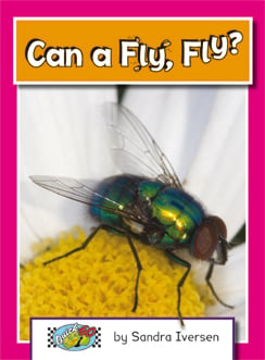 Can A Fly, Fly?