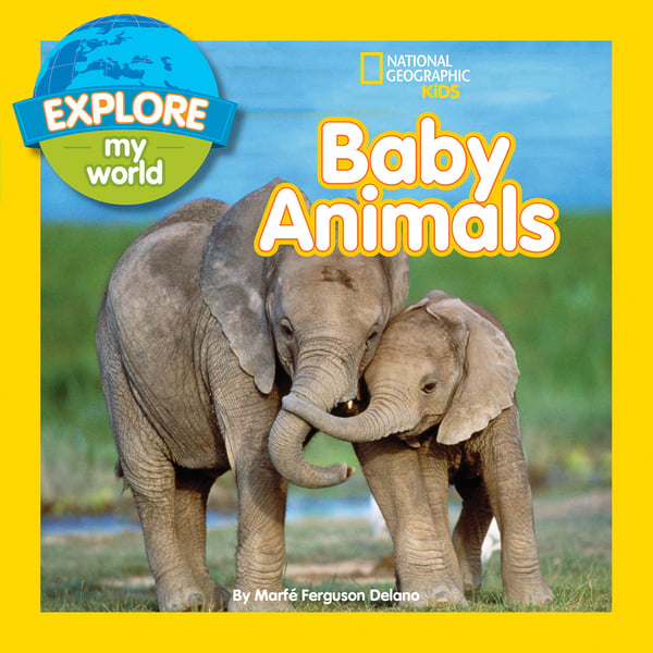 Baby Animals