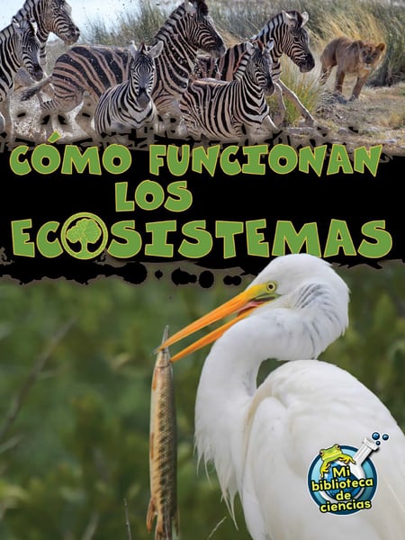 Como Funcionan Los Ecosistemas (How Ecosystems Work)