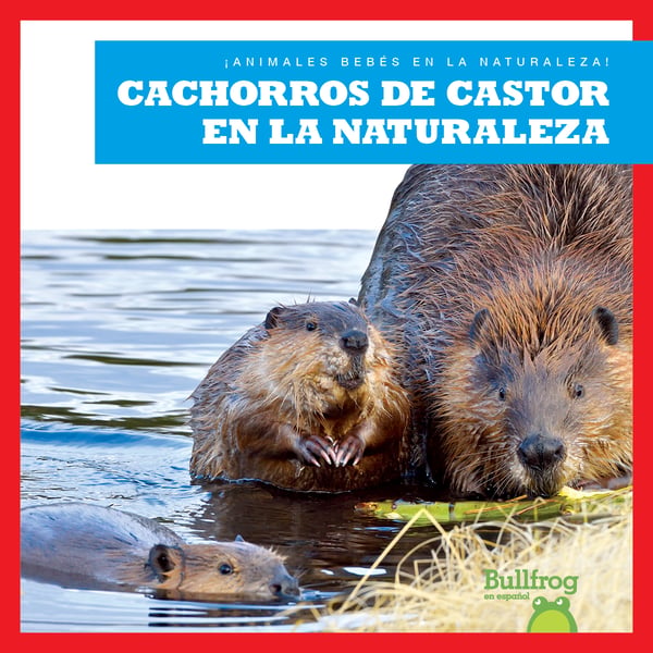 Cachorros De Castor En La Naturaleza (Beaver Kits In The Wild)