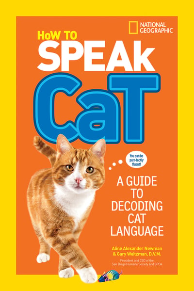 How To Speak Cat: A Guide To De-Coding Cat Language