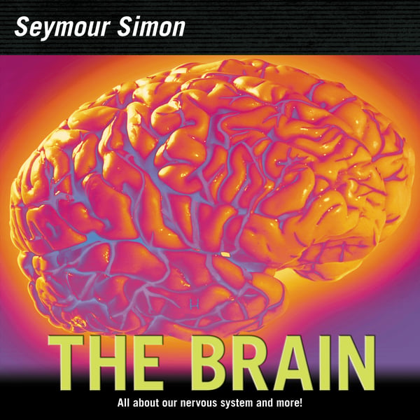 Brain: Our Nervous System, The