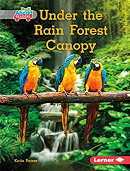 Under The Rain Forest Canopy