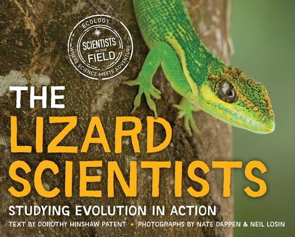 Lizard Scientists: Studying Evolution In Action, The