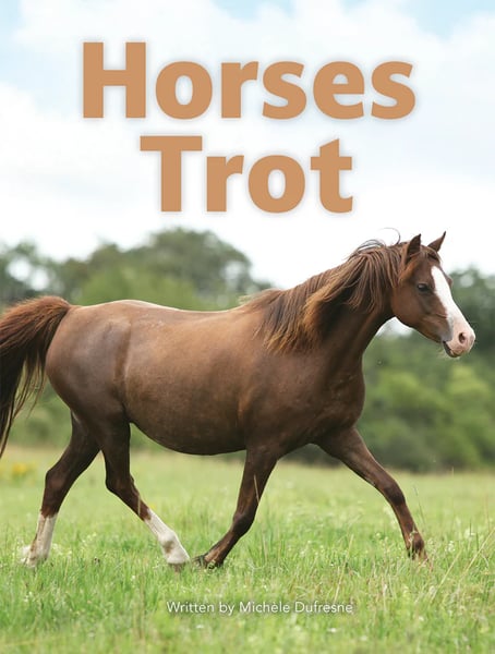 Horses Trot