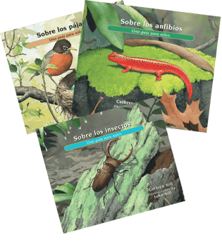 About... Series (Spanish), The