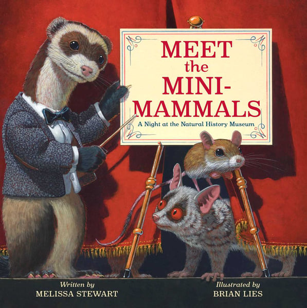 Meet The Mini-Mammals: A Night At The Natural History Museum